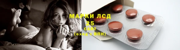 ГАЛЛЮЦИНОГЕННЫЕ ГРИБЫ Заводоуковск