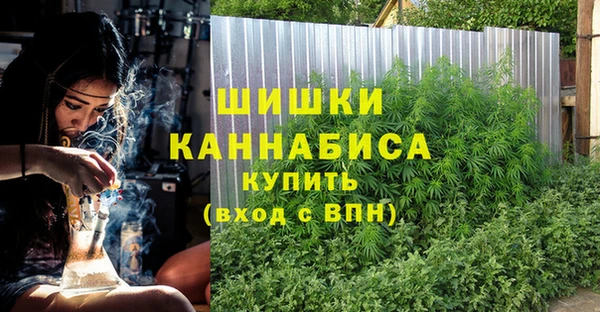 ГАЛЛЮЦИНОГЕННЫЕ ГРИБЫ Заводоуковск