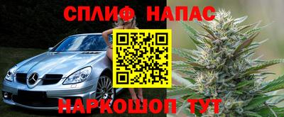 прущие грибы Братск