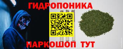 прущие грибы Братск
