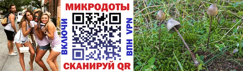 Галлюциногенные грибы MAGIC MUSHROOMS  Канск 